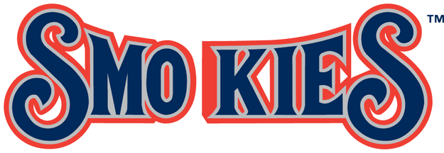 Tennessee Smokies 2000-2014 Wordmark Logo iron on transfers for T-shirts
